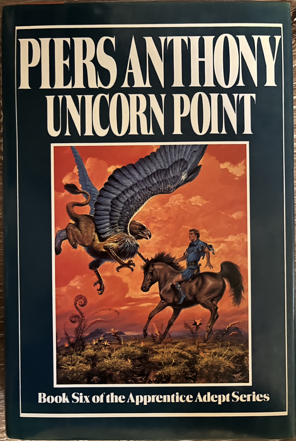 Unicorn Point hardback cover