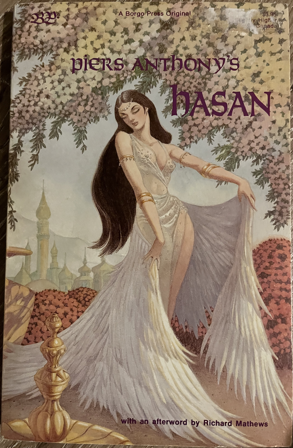 Hasan paperback